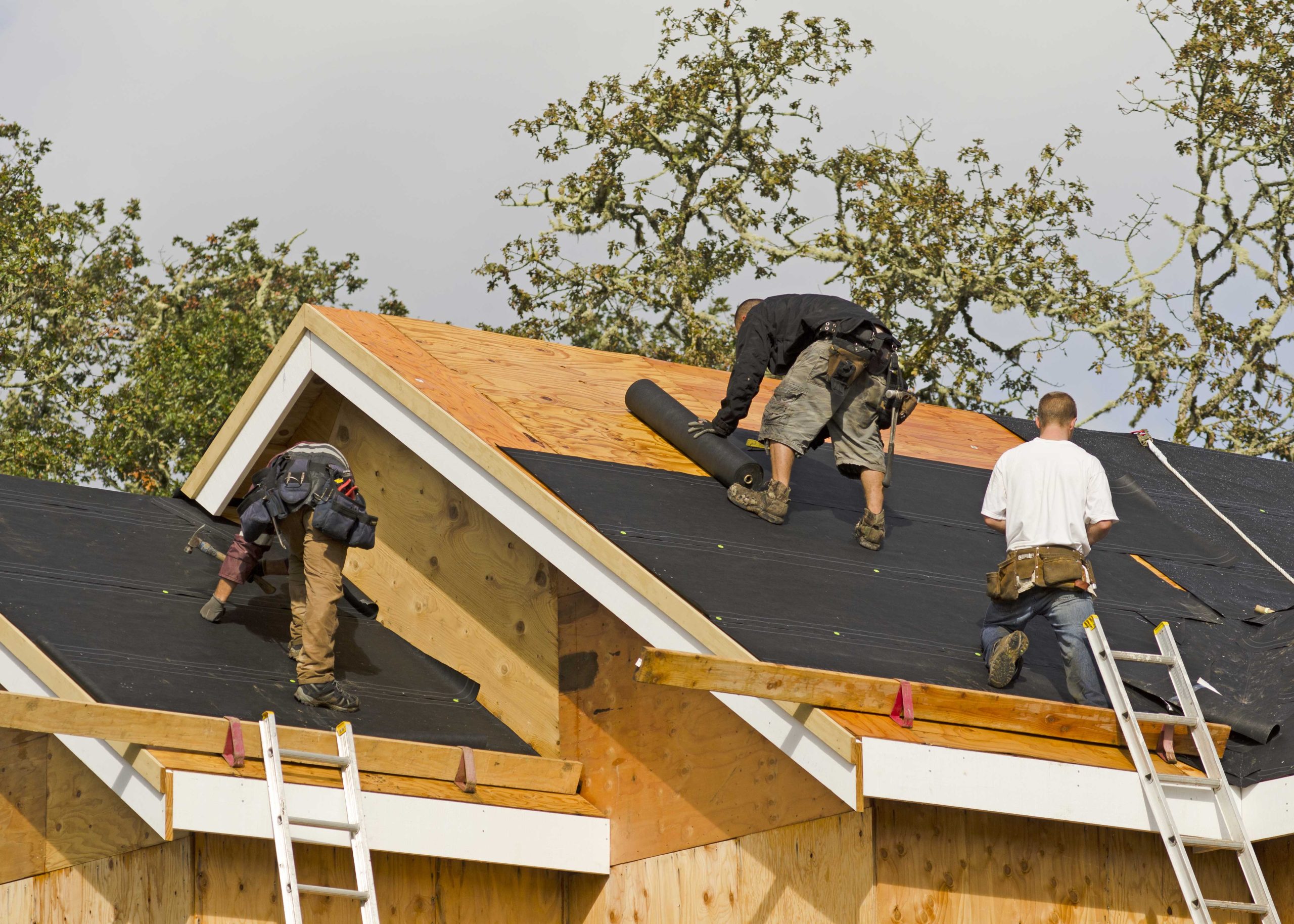 Professional roofers in Tampa